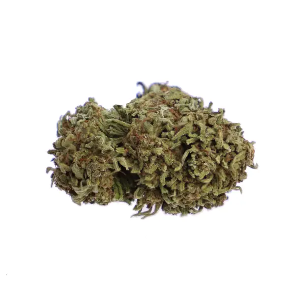 Tropicana Cookies Green House 5gr