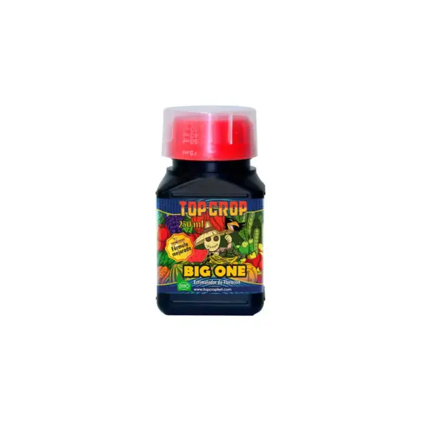 BIG ONE TOP CROP 250ml