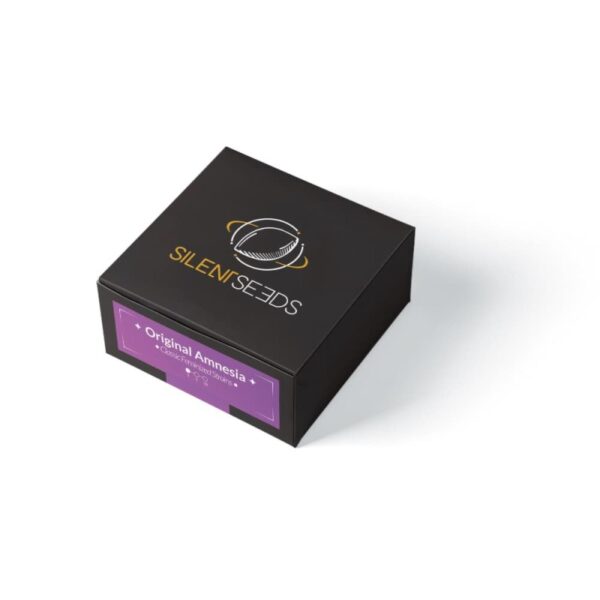 Amnesia Original 3ud fem Silent Seeds (Mejor banco 2025) - Imagen 2